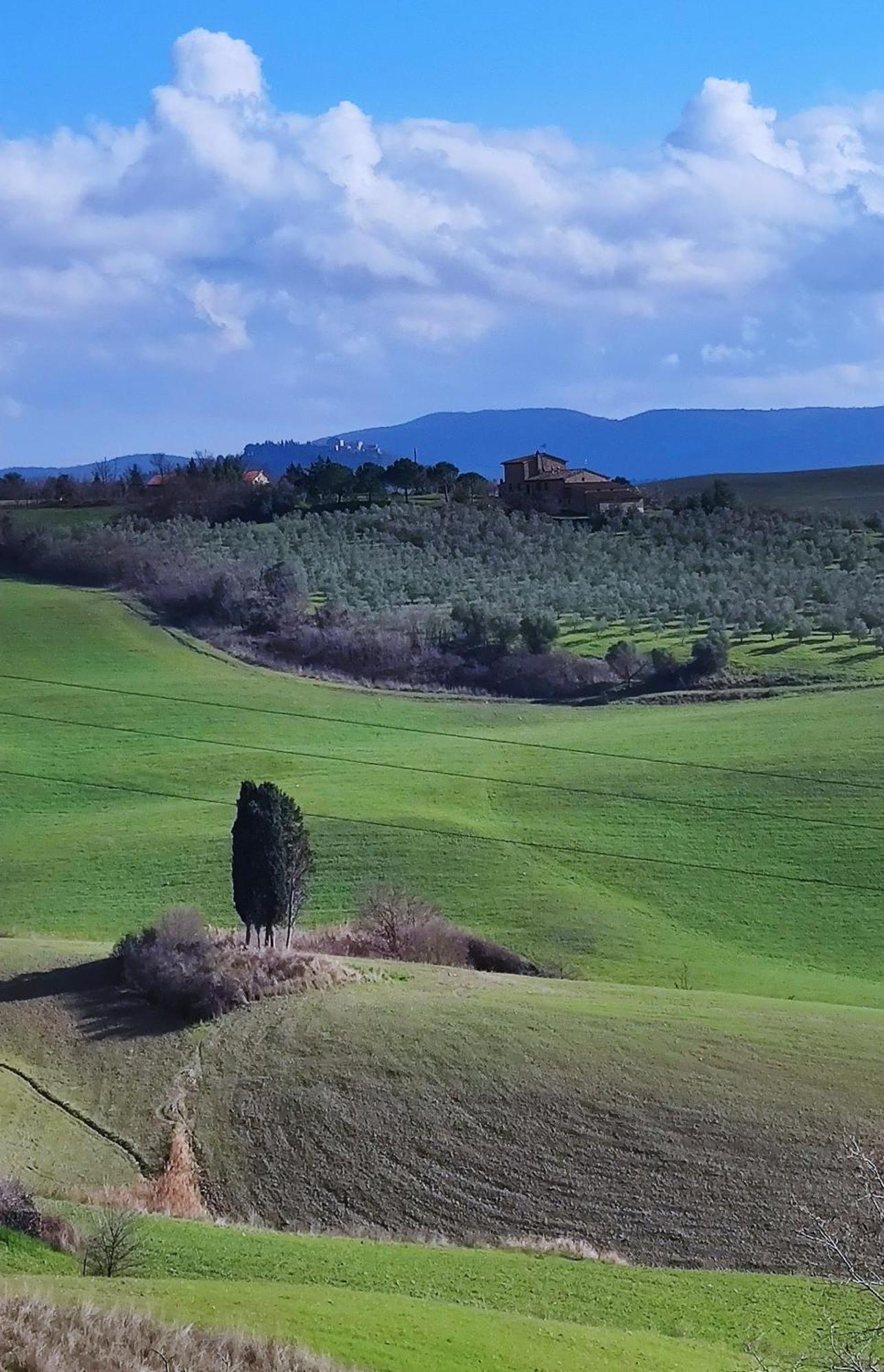Podere Campiano Volterra Exteriör bild
